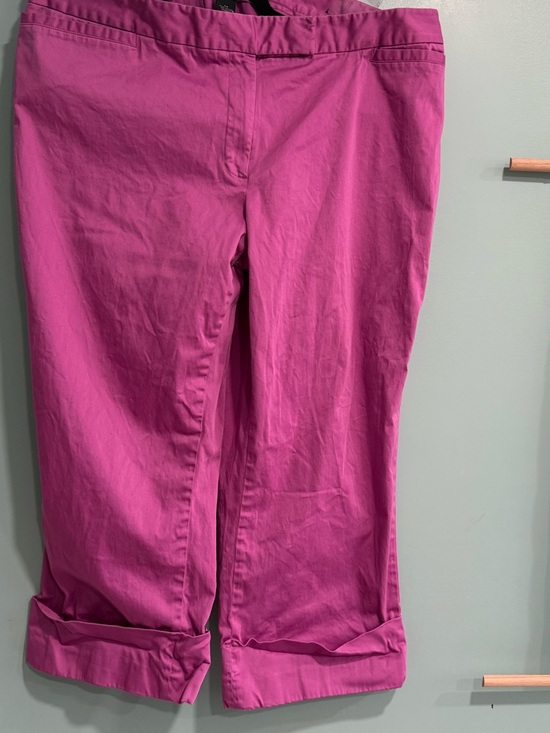Lane Bryant Other - Lane Bryant Bright Pink Cropped Pants